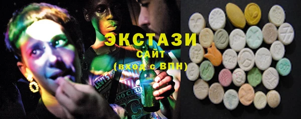 ECSTASY Елизово